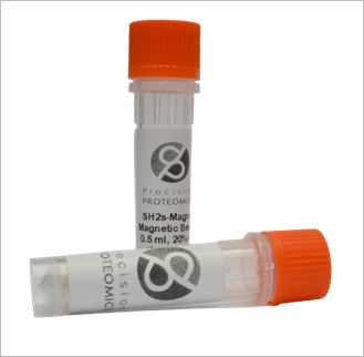 SH2S Magnetic Beads